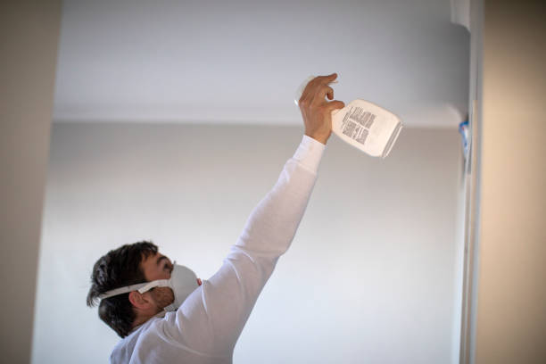 Best Mold Cleaning Services  in Fabrica, TX