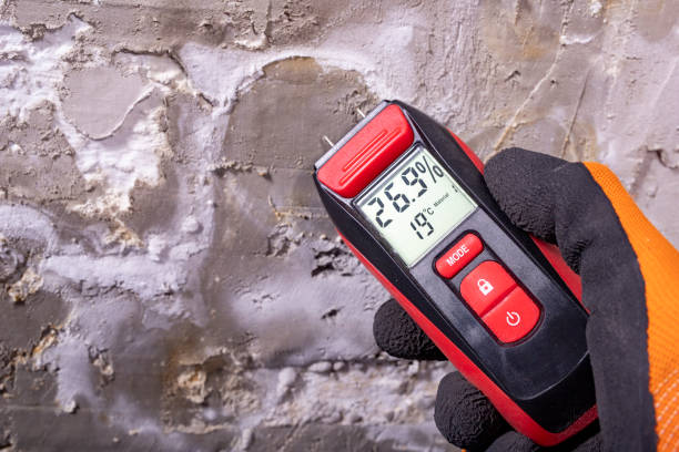Best Certified Mold Removal  in Fabrica, TX