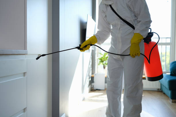 Best Mold Damage Repair  in Fabrica, TX