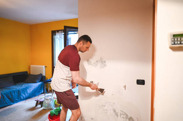 Best Home Mold Removal  in Fabrica, TX
