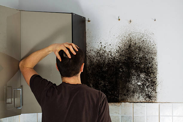 Best Mold Remediation  in Fabrica, TX