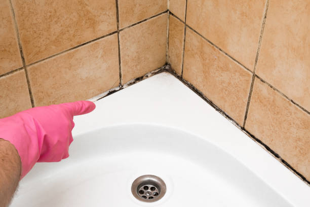 Best Residential Mold Removal  in Fabrica, TX